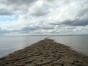 DSC07135-II.jpg