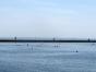 IMG_1086-III.jpg